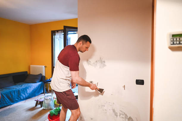Home Mold Removal in Weaverville, NC